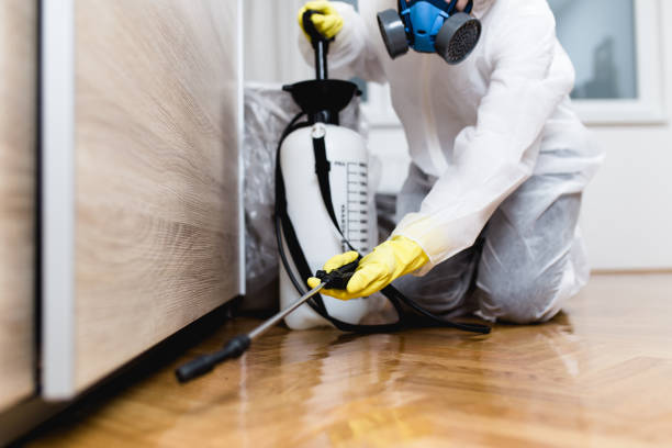 Best Pest Removal Services  in Walnut Park, CA