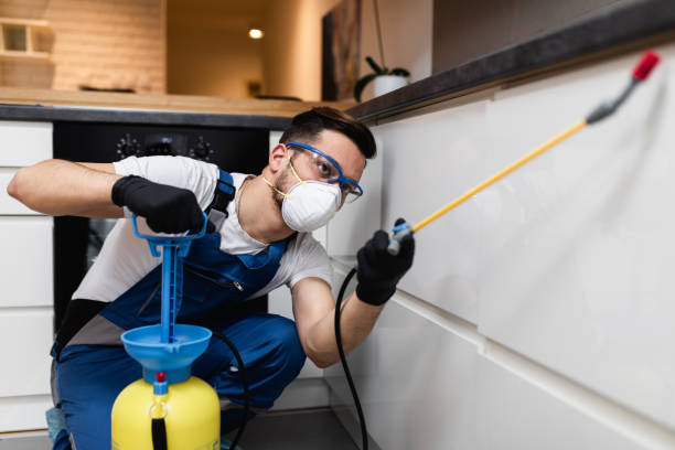 Best Affordable Pest Control Services  in Walnut Park, CA