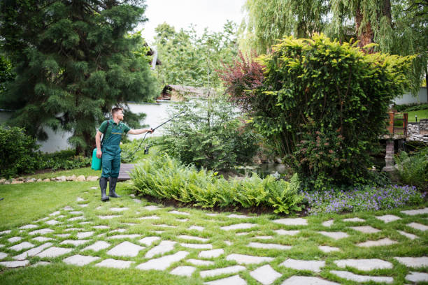 Best Cockroach Control Services  in Walnut Park, CA