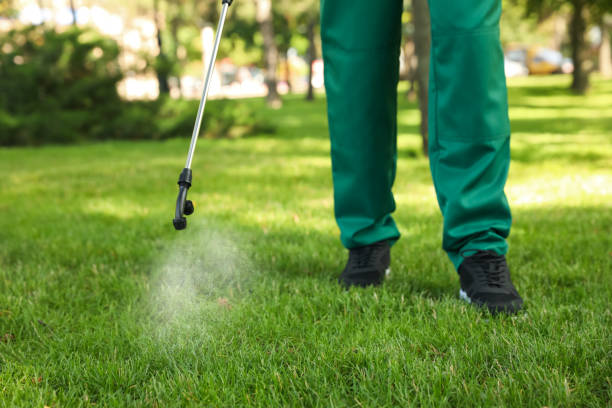 Best Pest Removal Services  in Walnut Park, CA