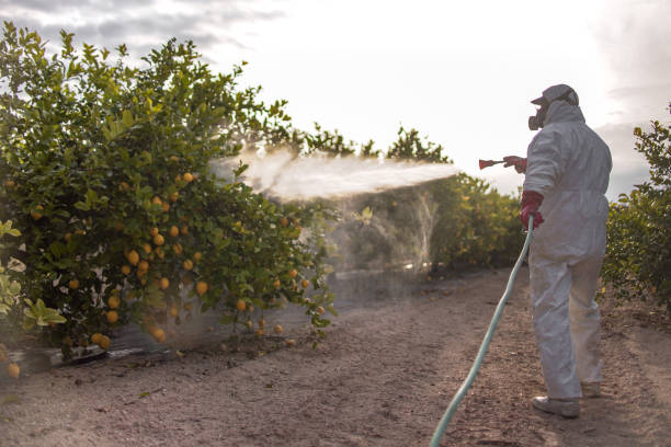 Best Mosquito Control Services  in Walnut Park, CA