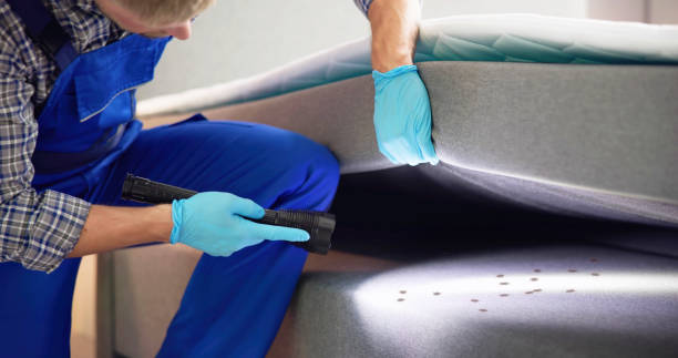Best Emergency Pest Control  in Walnut Park, CA