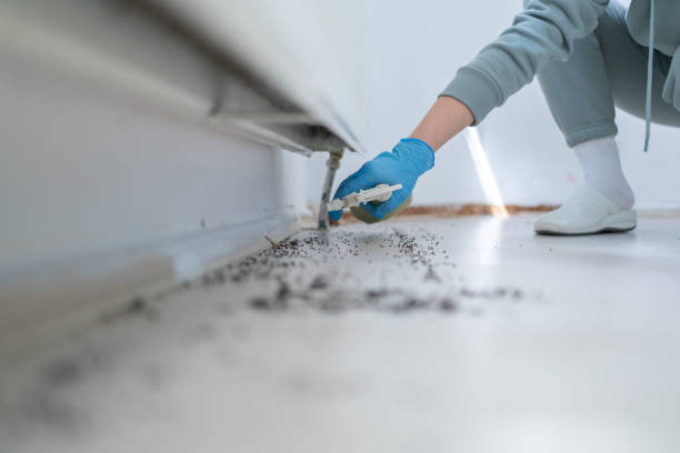 Best Best Pest Control Companies  in Walnut Park, CA